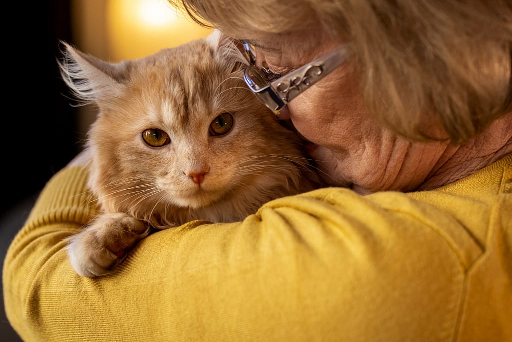 elderly-person-with-pet-cat