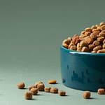 dog_foods