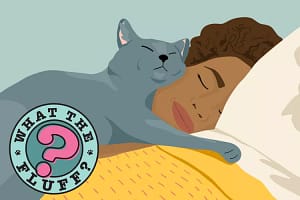 why-do-cats-sleep-on-your-face-with-logo-50ee2bad0ffb41529f02facab37ab8f6