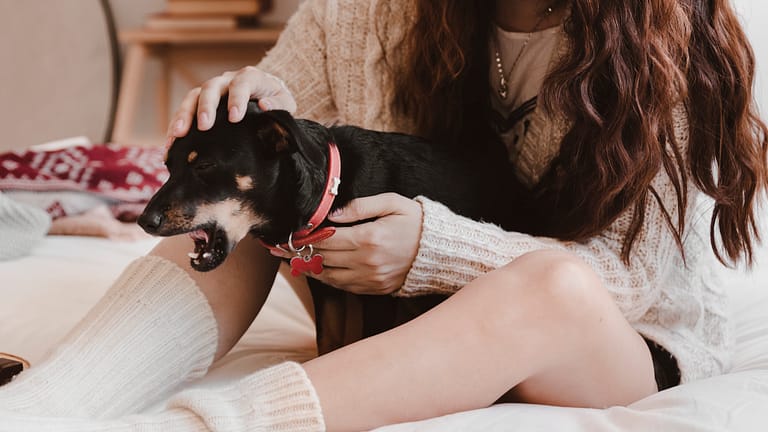 crop-woman-petting-dog