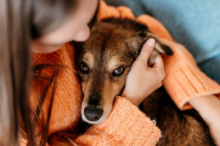 woman-petting-adorable-dog