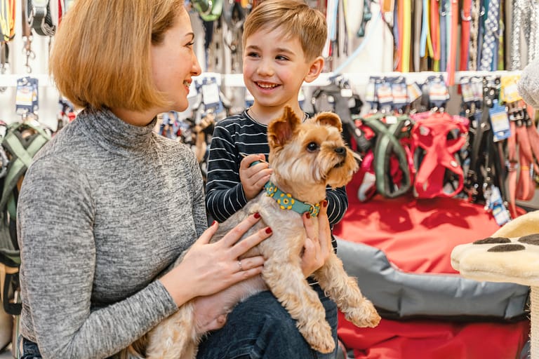 cute-little-dog-with-owners-pet-shop