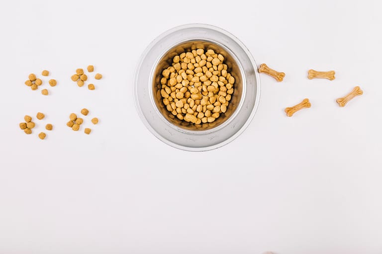 food-chewing-bones-near-bowl