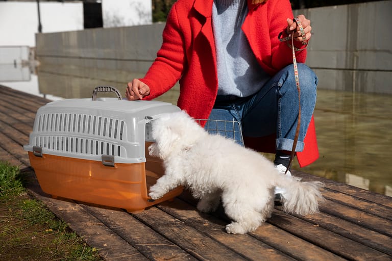 front-view-owner-with-pet-carrier